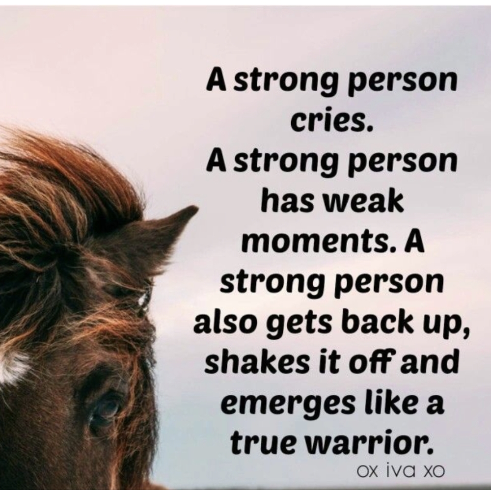 Offers welcome today only